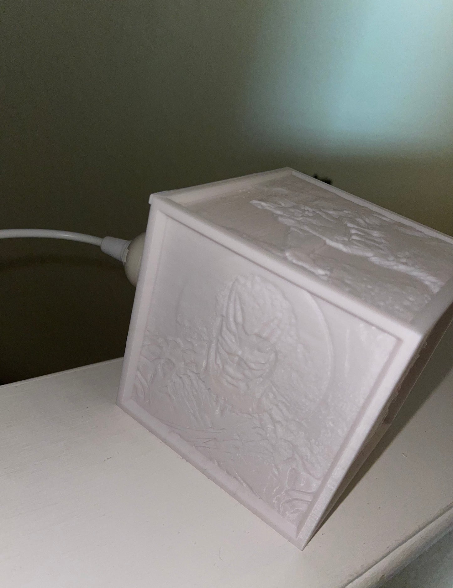 CUSTOM 3D LITHOPHANE LIGHT BOX