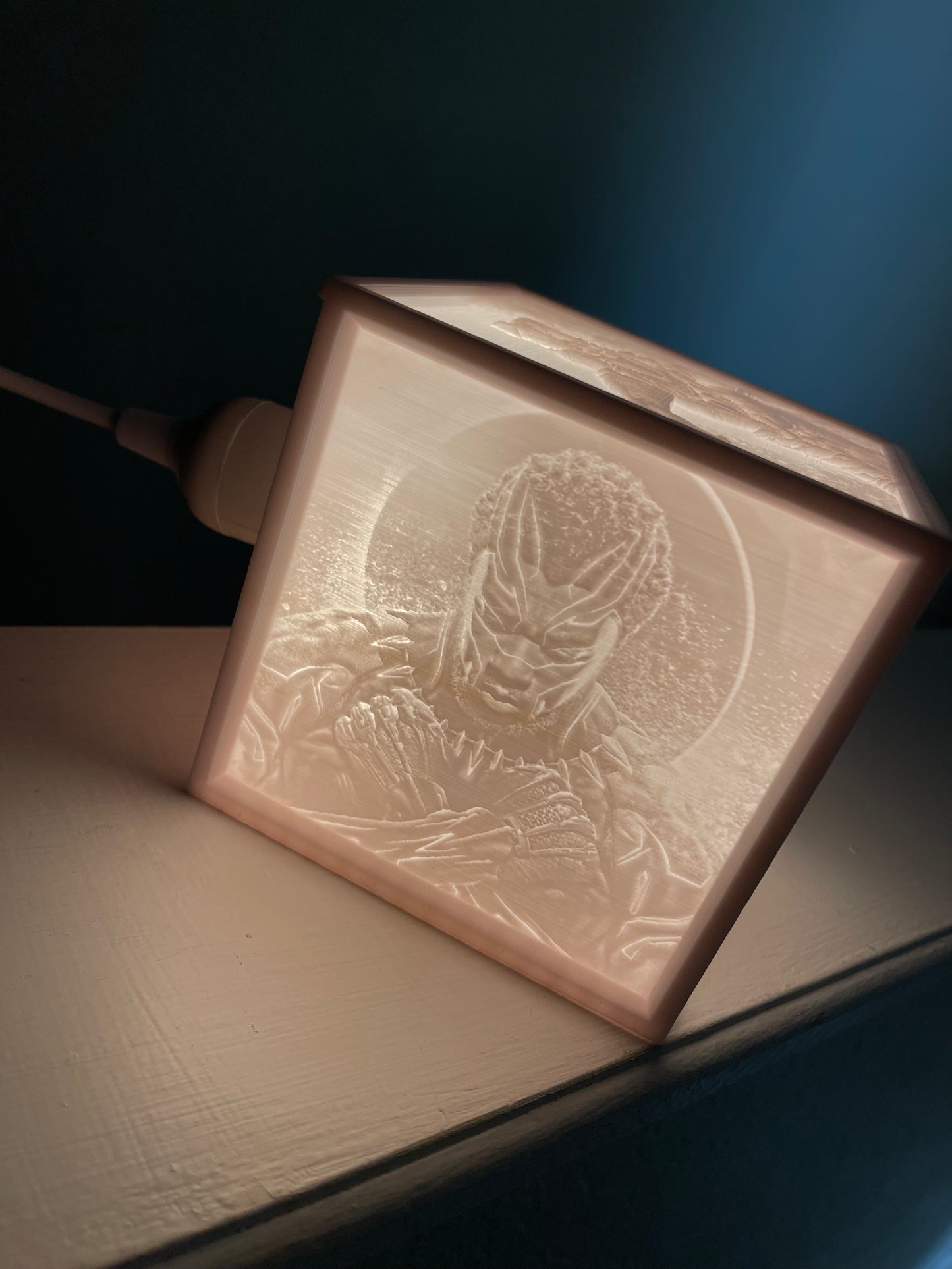 CUSTOM 3D LITHOPHANE LIGHT BOX
