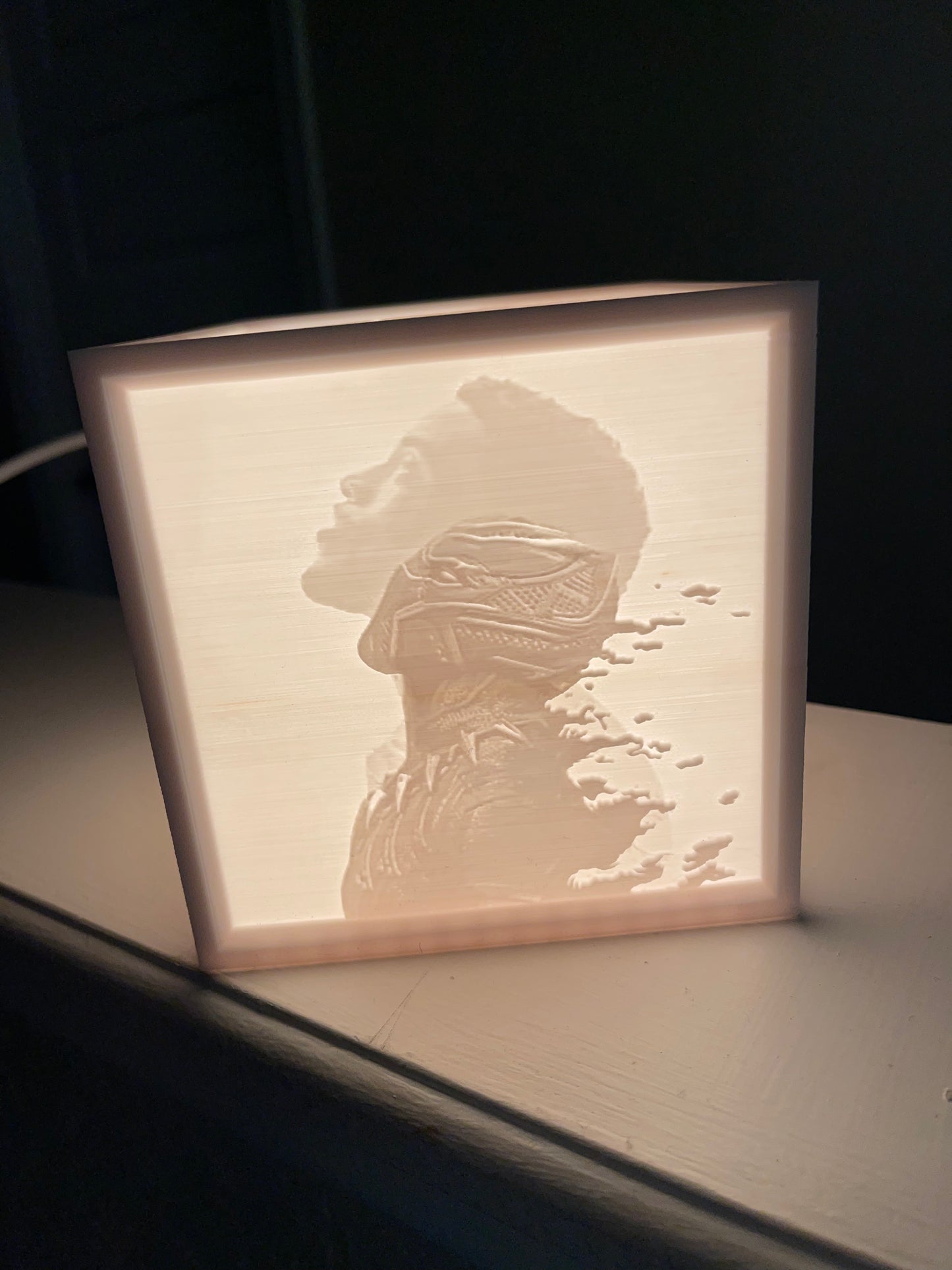 CUSTOM 3D LITHOPHANE LIGHT BOX